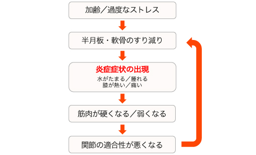 写真：主な症状2